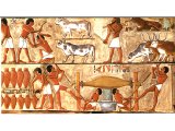Cattle-herding (above) and wine-making (below). Painting from tomb of Puyemre, Thebes, Egypt. 15th century BC. Also, a slave is being beaten - cf. Exod.2:11.